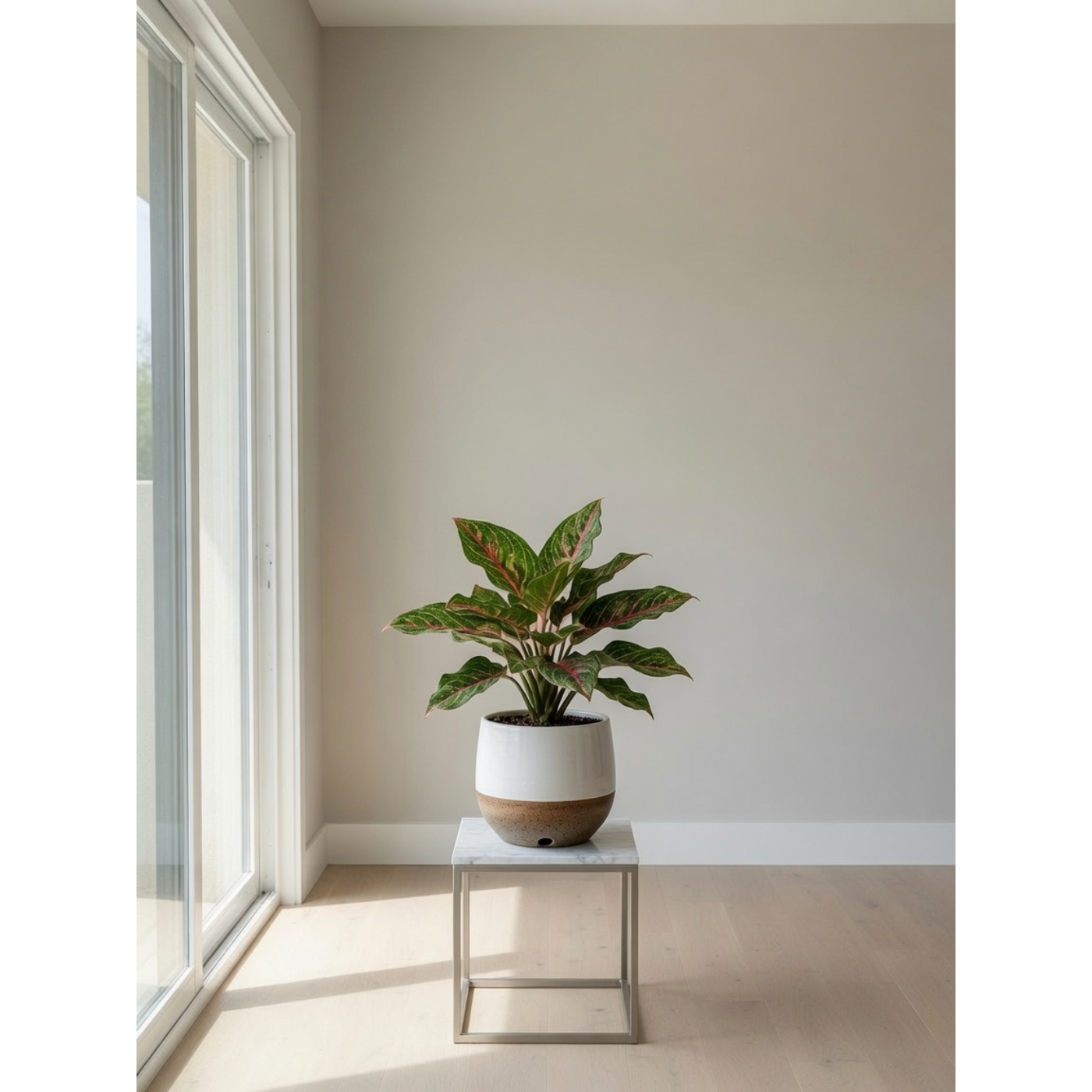 Red Anthurium Small